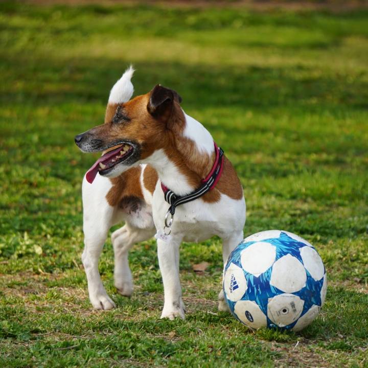 9e30c1aa b929 410e b59e 60e0c9f2839f 1557441963438