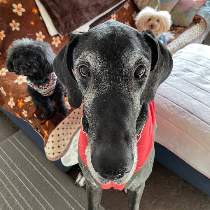 9e30d05e d251 4bae 9cda 30a56c95b028 1615848631054