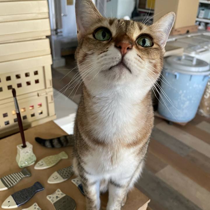 9e310dd1 302b 44ca 9b30 411d2c59f8e4 1693830664815