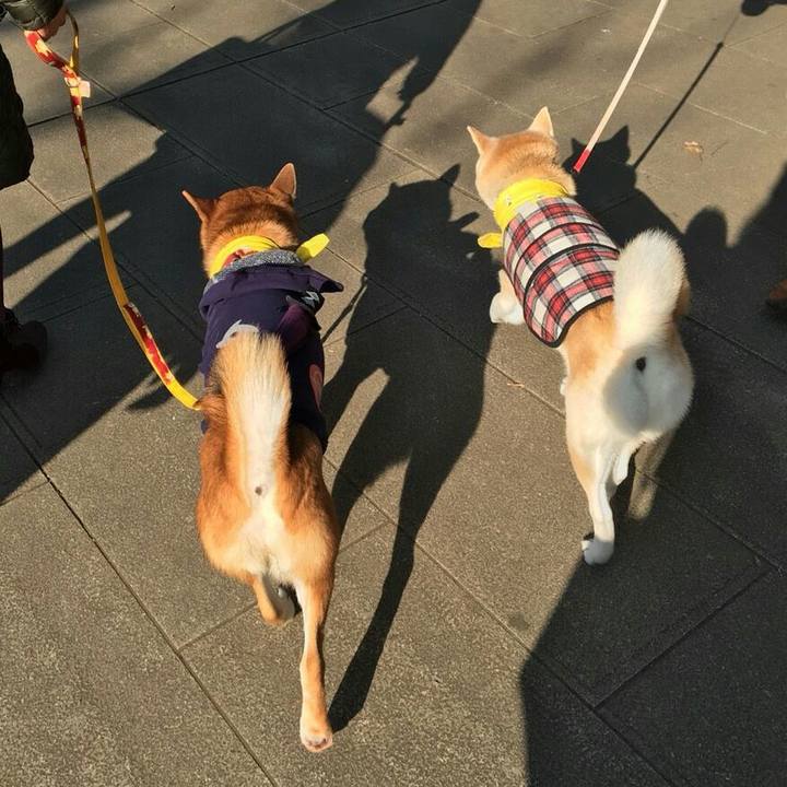 9e312795 3ae9 4aa3 af3f 1c52cd96f1db 1516517559946