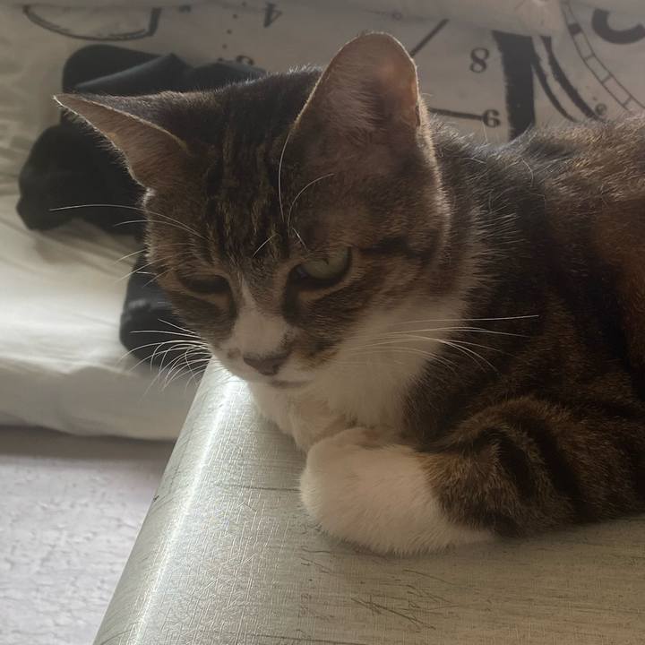 9e3197ef 825e 489f 801b ccb794a1397a 1660957058693