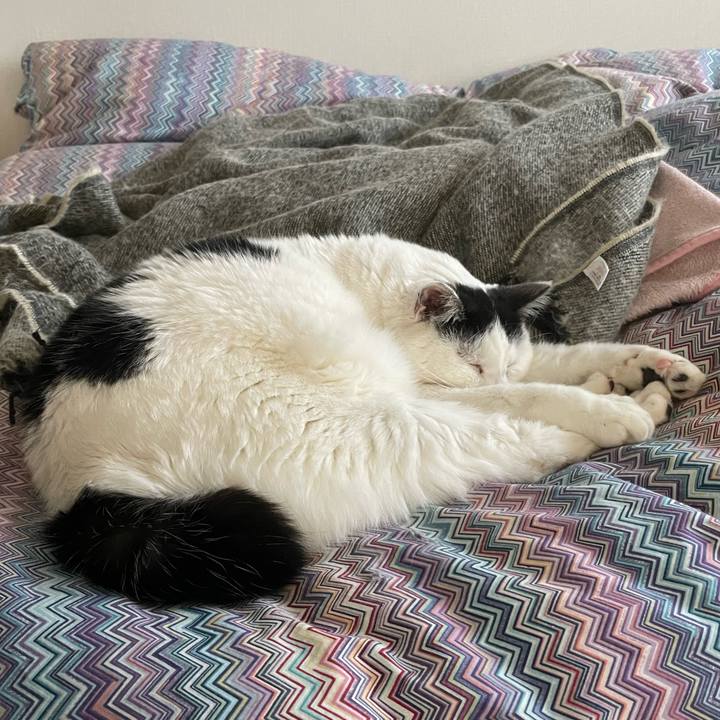 9e31b38d 89b5 460c a642 06aef6ec9979 1674603220395