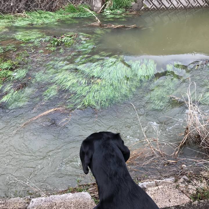 9e31bcad adf0 49c1 9906 d606dccfaec5 1522226771152