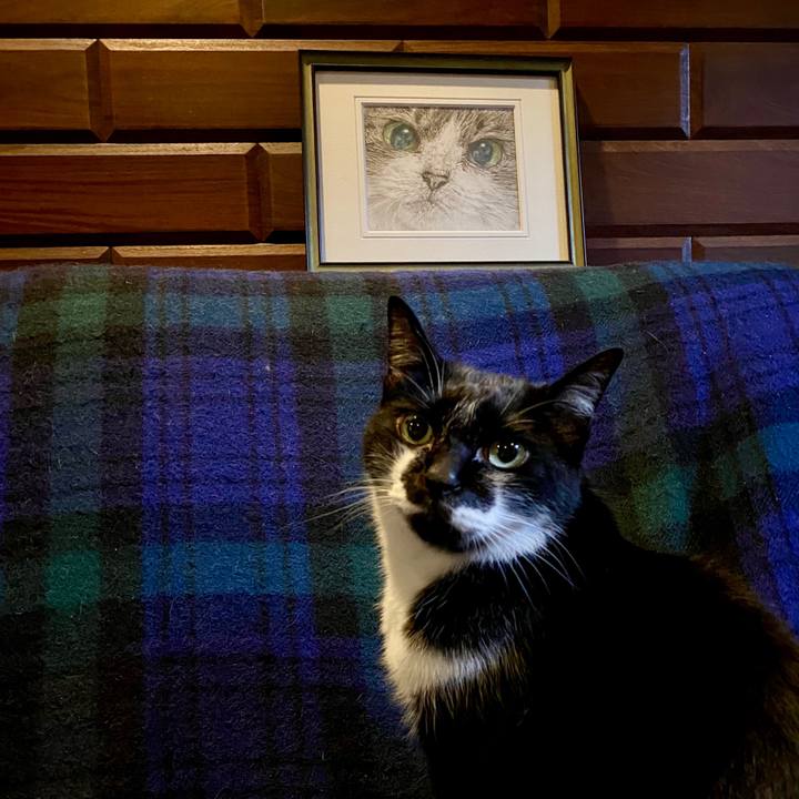 9e31f571 8224 46ed a112 a7055a6b29f3 1595408578792