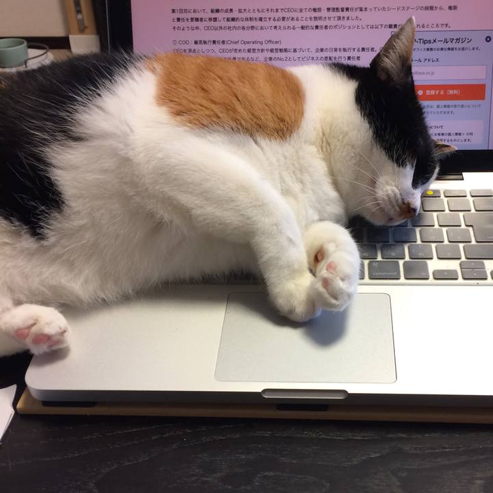 9e31f5e5 d14a 4d35 a030 c4a2e875a980 1586062334188