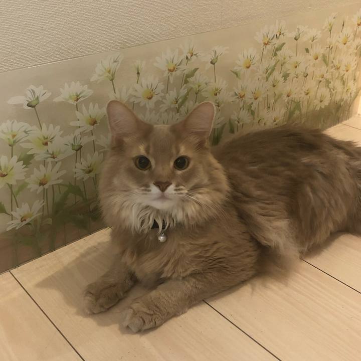 9e32564c 28bd 4132 bb91 35a9560dfc77 1655432117731