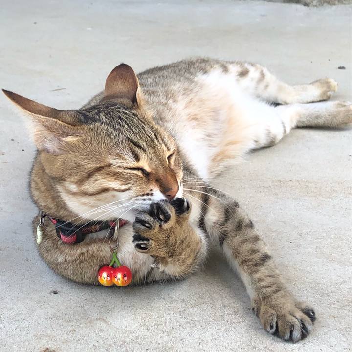 9e328746 b995 47b1 8c49 5f2b02a66696 1620692975315