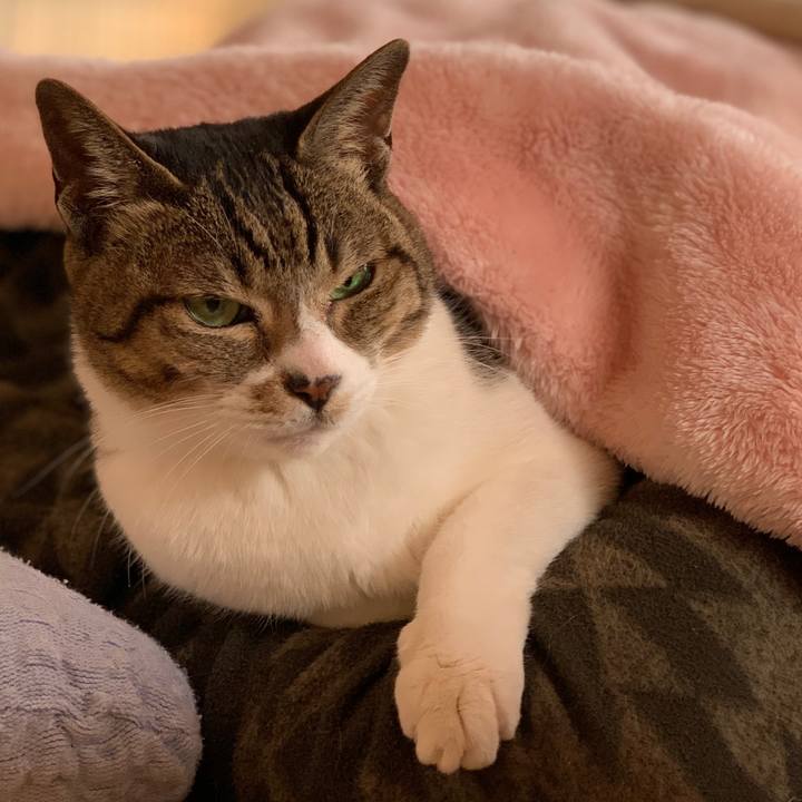 9e329349 17d8 4780 84ef e3abf959577b 1581036852996