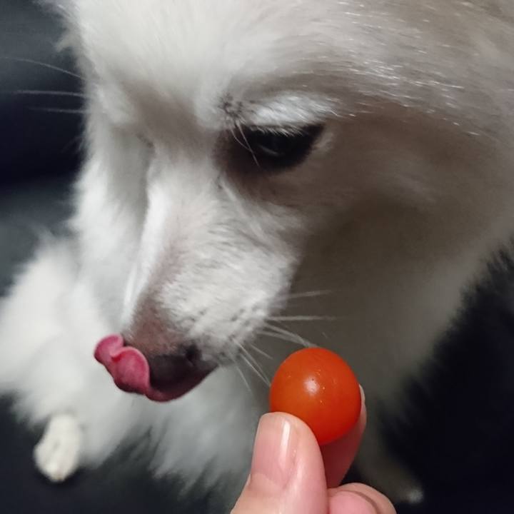 9e32dd04 1770 4f75 901e d5cecc11c1da 1563459715809