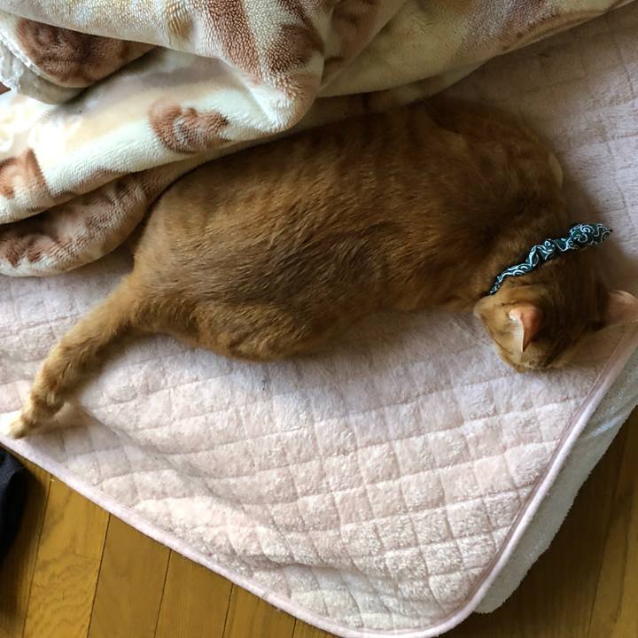 9e32e889 82d1 4e2a bad7 afdc26930ee0 1559170490743