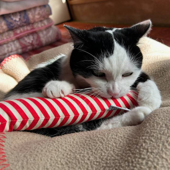 9e332b55 a0e2 4b80 877e 1ee871828127 1767743734957