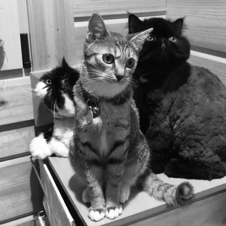 9e335896 d235 454a a9a6 dd813a13a948 1563709297906