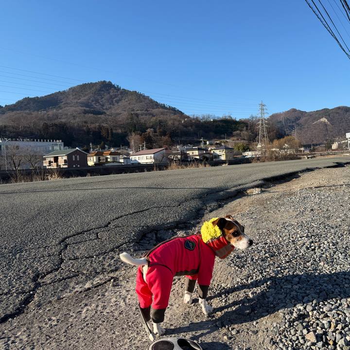 9e335ec0 a489 4409 a05a 80f54fa03ef2 1767770014396