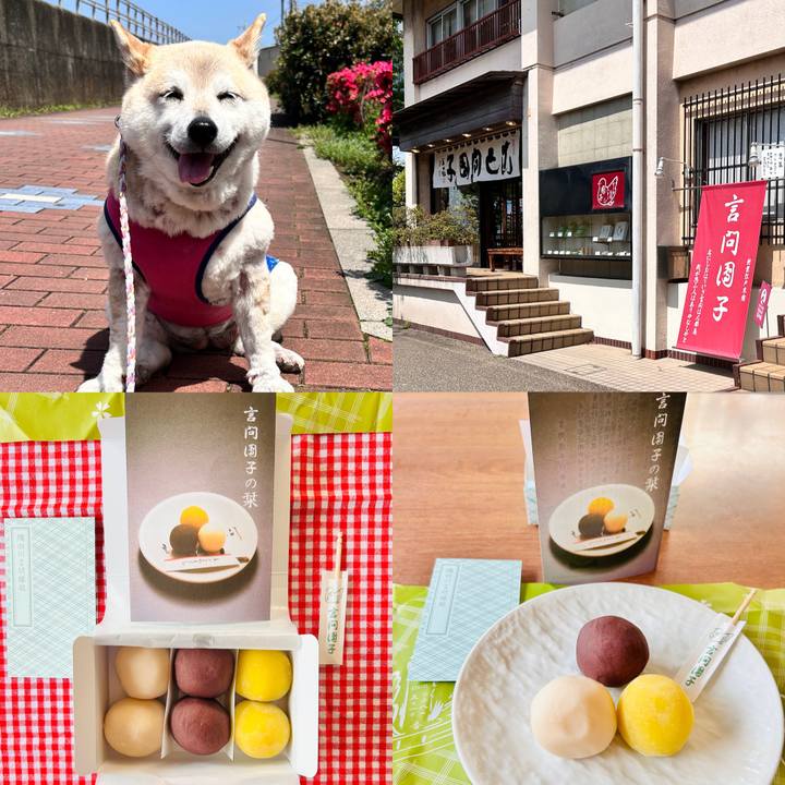 9e338375 c38d 4c93 9805 21a81b8cd7fe 1744877986446