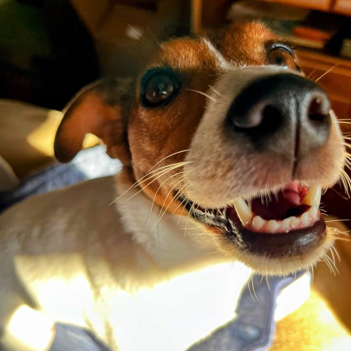 9e339082 88ba 487b 9261 62ebae2121e8 1753790753386