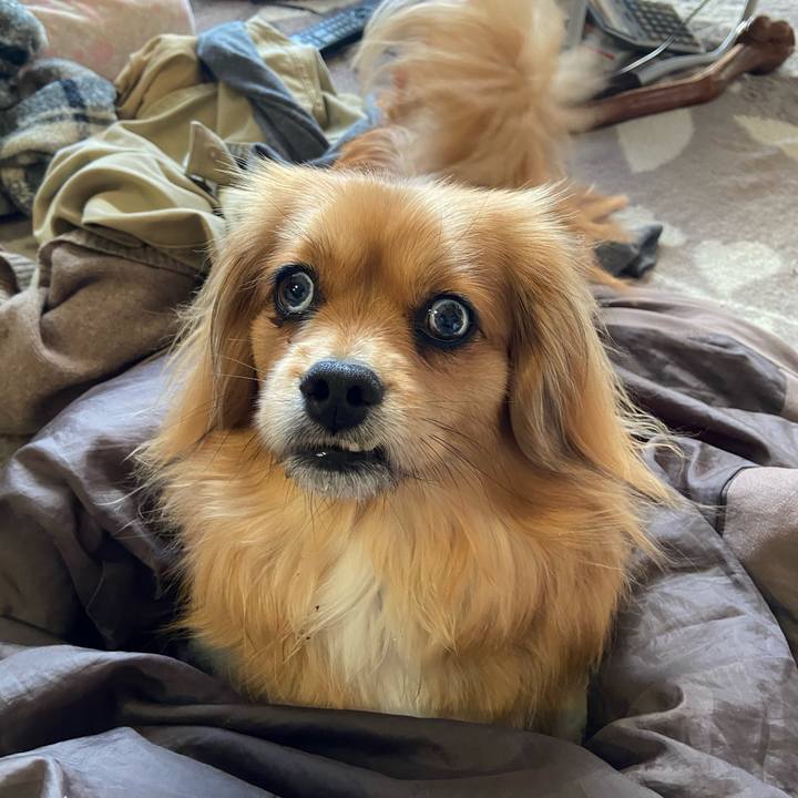 9e339141 40e8 42b3 bf54 923b870501b7 1584311115204