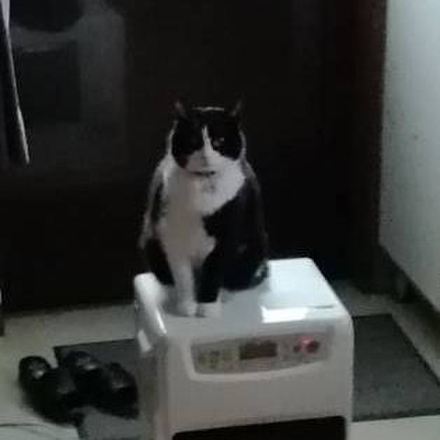 9e3397a6 c0fc 4b9d 8a78 4dbcd5c817c9 1613118193257