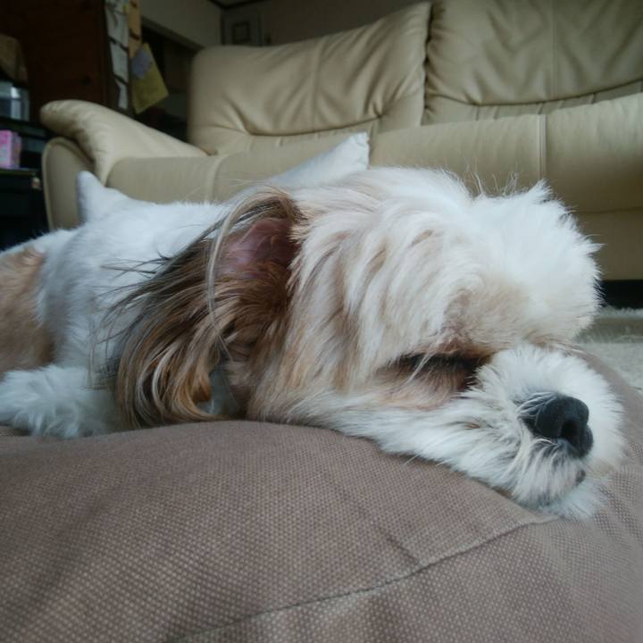 9e33d169 1fd9 462f abf1 af133c83e6bb 1531376883733