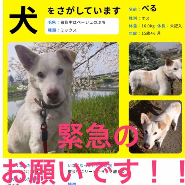 9e33e22a 7f7a 442d b0b0 574eb3da6206 1553338938501