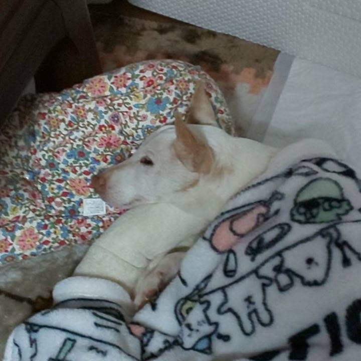 9e33e59a a1e0 459a 92d0 bd3cd2c6d88d 1587913008010