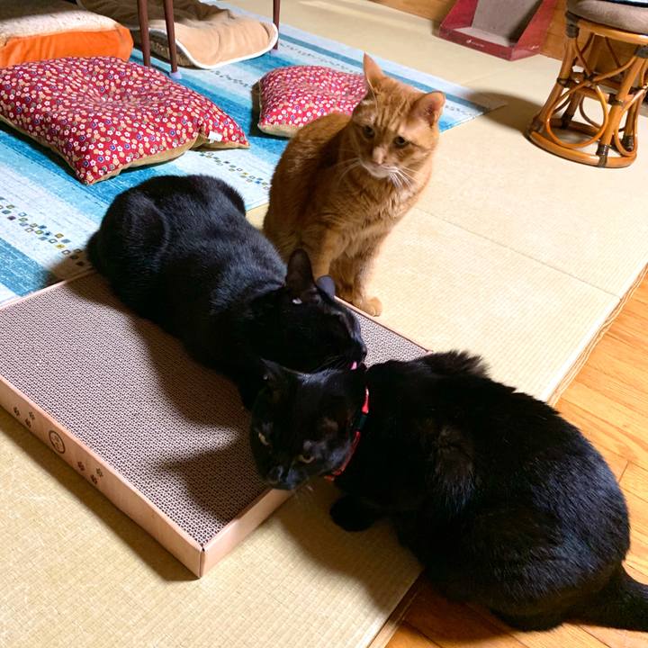 9e33f435 d35b 463f aea9 f2691b2876b5 1589884980442