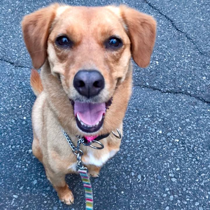 9e3432a8 adad 41a8 b979 2ecfd4c4a69a 1558345893779