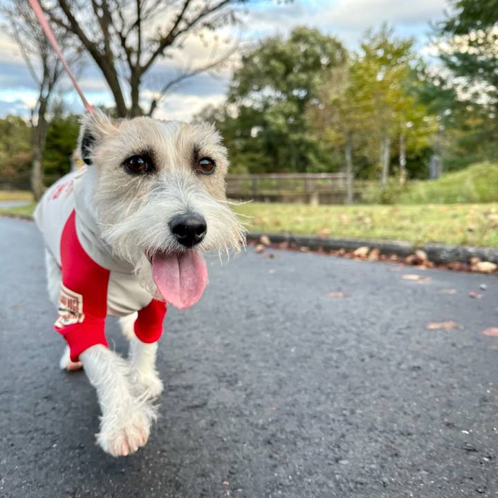 9e34388a 0816 4d6c b782 1e238abd9512 1697385816688