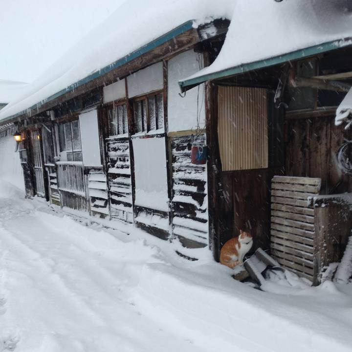 9e34448d 1d78 4158 be3a 3a03d19a3a47 1766792873759