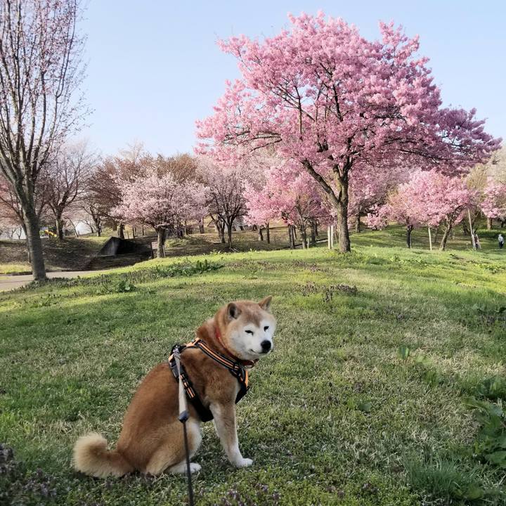 9e345061 00dc 4bc7 8f77 182b531f5a02 1713511387481