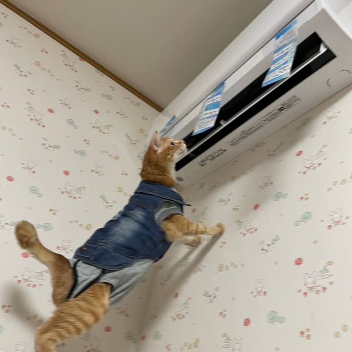 9e349325 fe4f 498f 8007 075173d06a9d 1645535107420