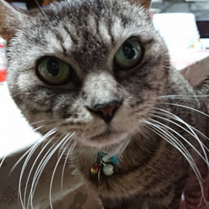 9e34d646 faa3 4171 b824 c11e9d412b3e 1551431953824