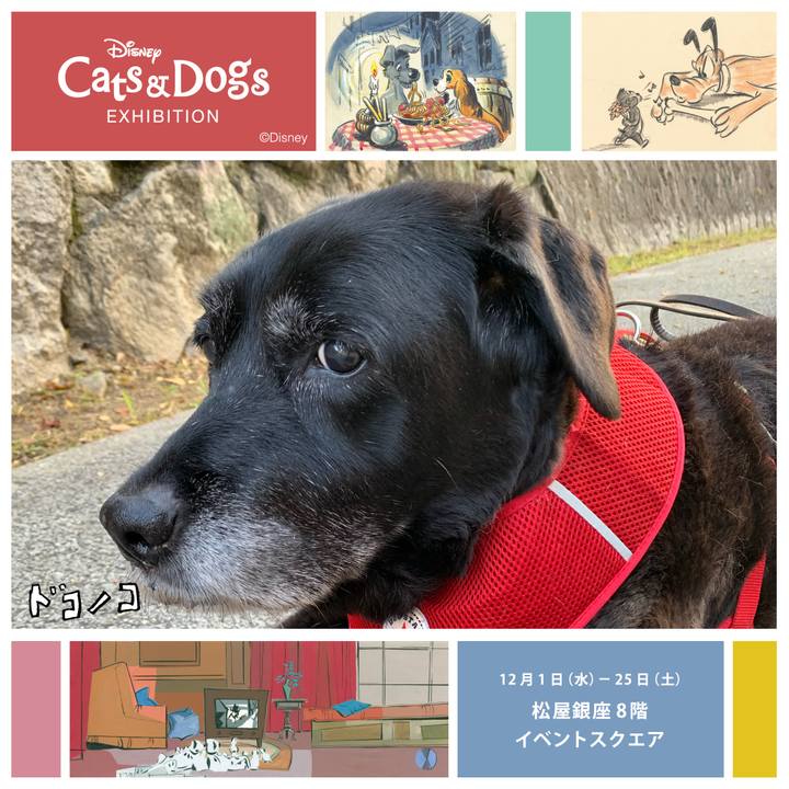 9e34e056 0015 4cab aef0 a55200b1f50f 1638328090566