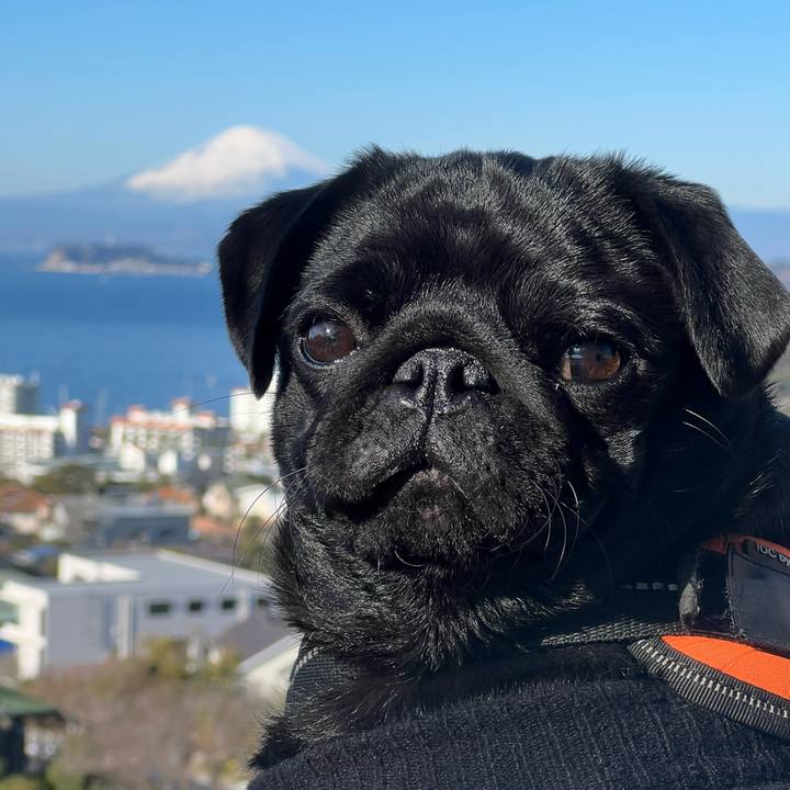 9e34f392 48fe 4c5e 833f e40df1feee88 1641720279823