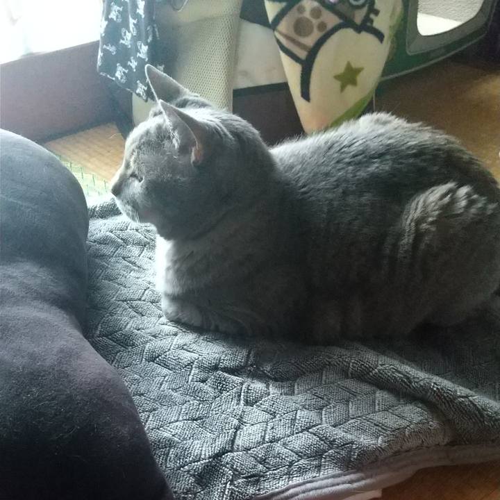 9e35085b 004f 4c20 afd4 b062514eb1cc 1620184733920