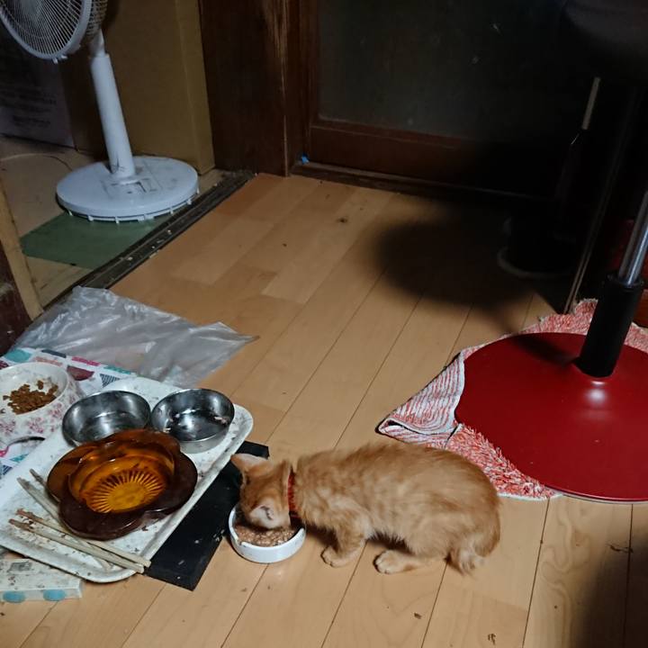 9e351e9f 45a3 4b4d bb48 f2f004cf9711 1629924705462