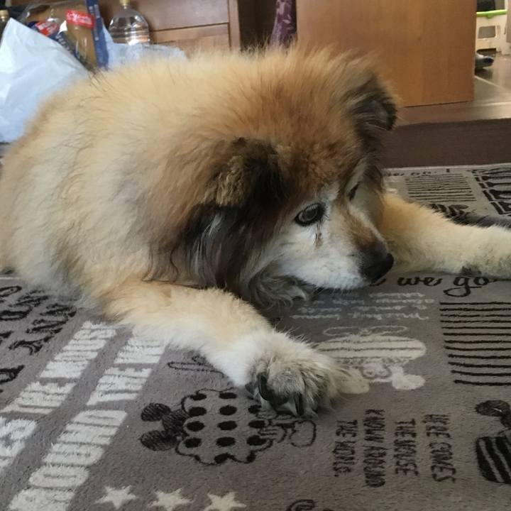 9e351fb2 dc02 4232 b19f b78deefc40f2 1582935309638