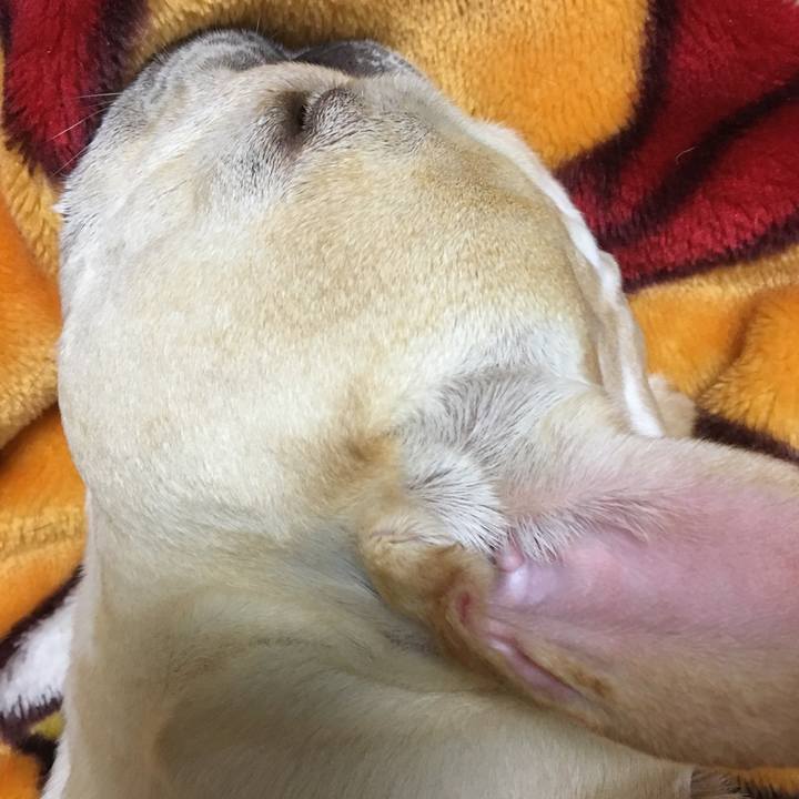 9e353128 a2b4 4778 a867 82d8d22372a2 1527859409315