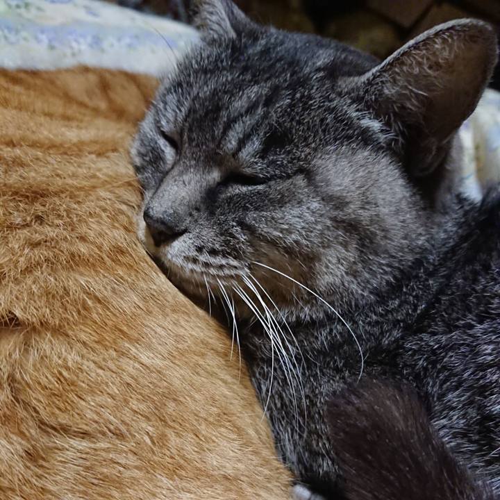 9e354554 1c00 4e9d 8d5c 49d7e77cc619 1576066035917