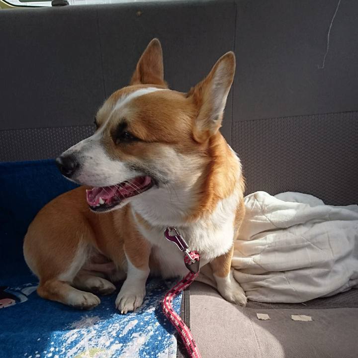 9e354cf6 d7a2 4853 b630 f440512fee1f 1614601995868