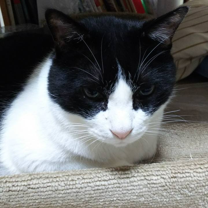 9e355466 f3ec 409f a6cd 0f83ec4261b0 1531777149247