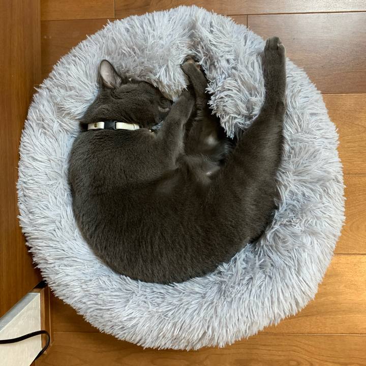 9e355c67 8b49 44c7 9138 8f9f605e5002 1633935384851