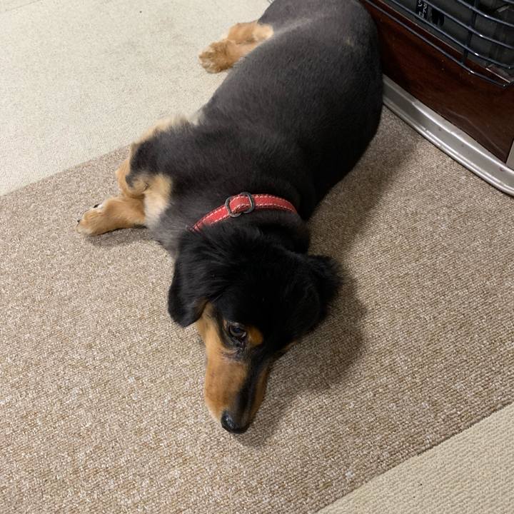 9e356390 f798 4027 b55b 9c886f716404 1552255124285