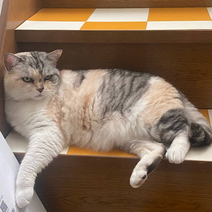 9e3568c7 9870 4820 ba5d bf92ea05996b 1717539356299