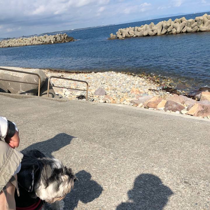 9e35980c 5f9f 4e9d b4f0 fca1147dc160 1591492689124