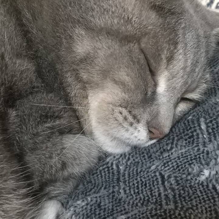 9e359ea7 35b3 485b ba9a e50b30160c2a 1629039230342