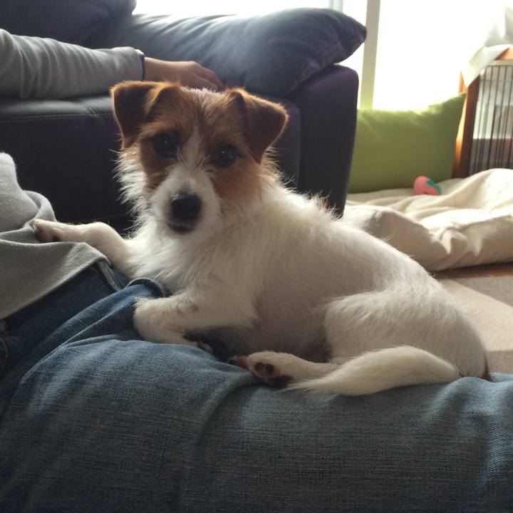 9e35a145 20a3 47ea b34d 523d2f106480 1516401900786