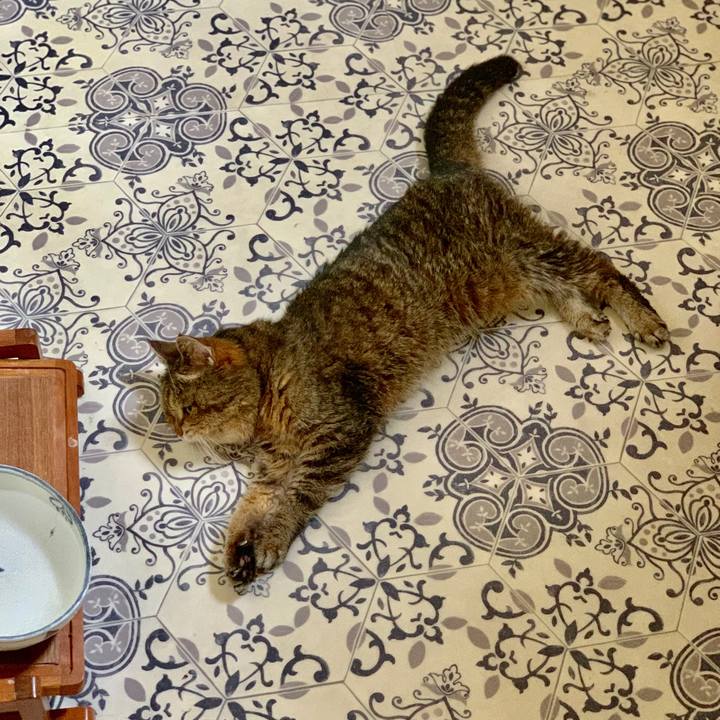 9e35e11f c8eb 4d05 9c31 1174254a5c25 1565850032055