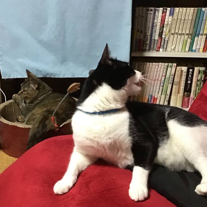 9e35f857 afd3 4ccd ad78 f23af5df49a3 1691672211173