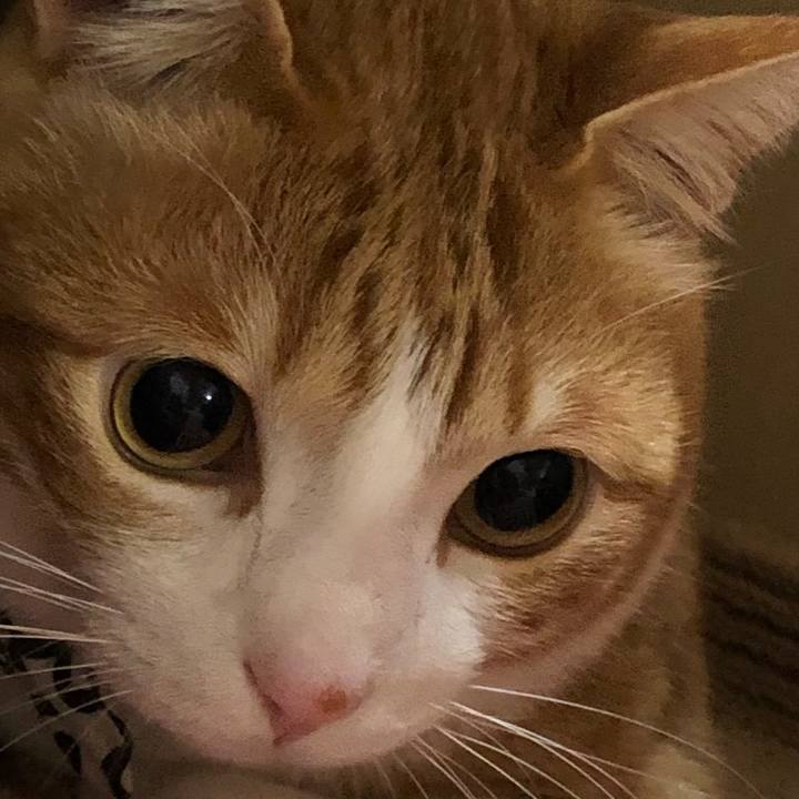 9e360674 7749 4b93 8df5 6ea6067ada3c 1552565449351