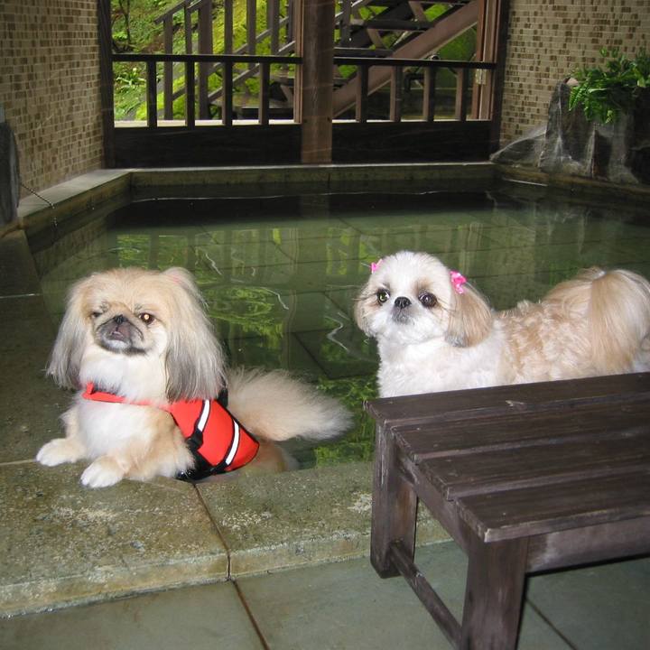 9e36080b 83d9 4b89 ab10 e1464fc3a0b7 1623074308710